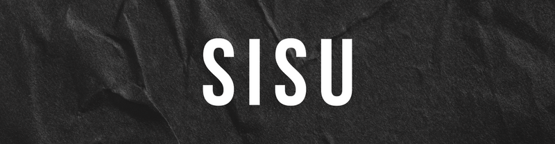 An Introduction to SISU